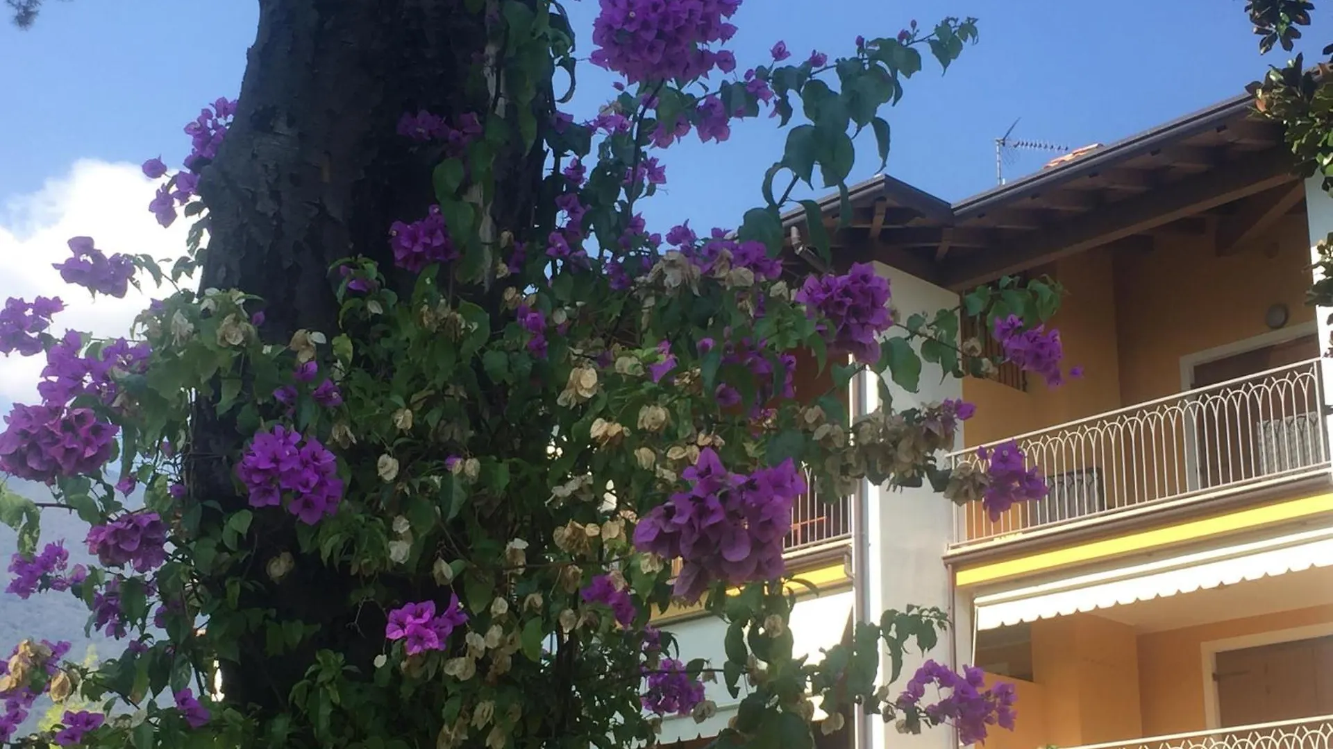 Apartment Casa Santi Il Silenzio Tra Lago E Montagna Toscolano Maderno